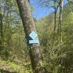 Cahaba River Walk Park