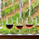 Wine Tasting in Edna Valley & Paso Robles