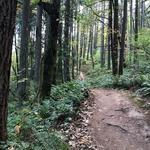 Mount Talbert