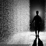 Sharjah Art Foundation - Rain Room