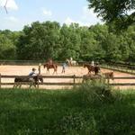 Scotsgrove Stables