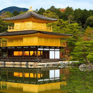 Touring Temples in Kyoto