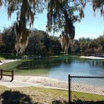 Lithia Springs