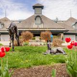 Kentucky Horse Park