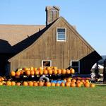 Averill Farm