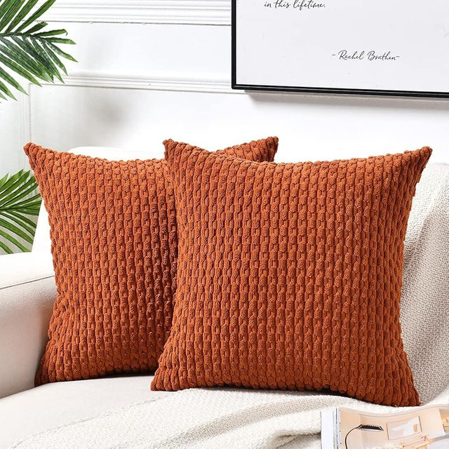 Fancy Homi 2 Packs Rust Decorative Throw Pillow Covers 16x16 Inch for Couch Bed Sofa, Modern Farmhouse Boho Home Decor, Soft Cute Plush Corduroy Cushion Case 40x40 CM