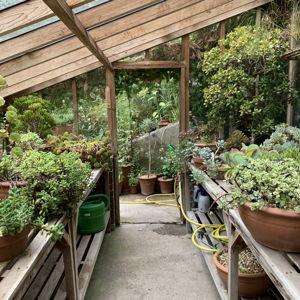 H & B Greenhouse & Nursery Gift Card