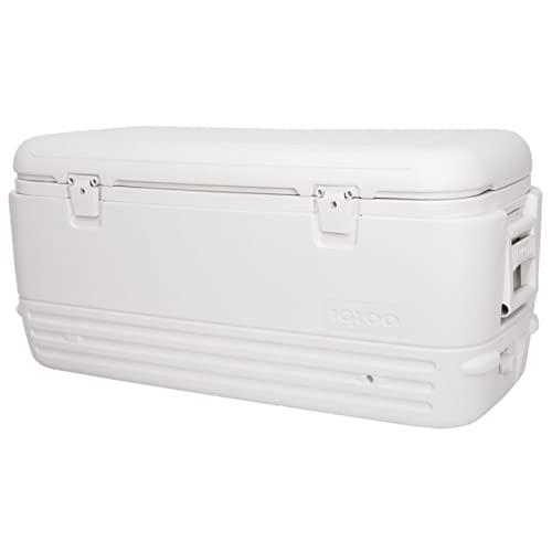 Igloo Polar Cooler Family
