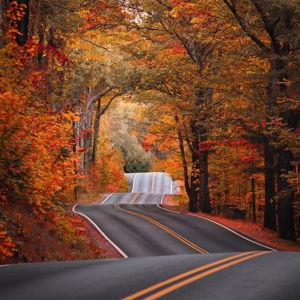 Honeymoon Roadtrip