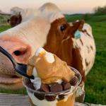 Happy Cow Creamery @grandviewacresfarm