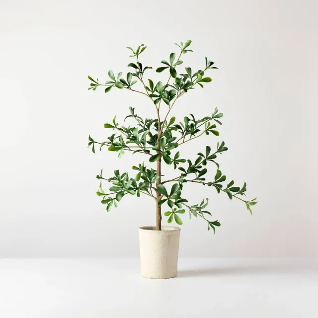 28" Mini Black Olive Artificial Tree - Hearth & Hand™ with Magnolia