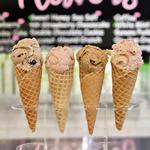 FRESH. Local Ice Cream