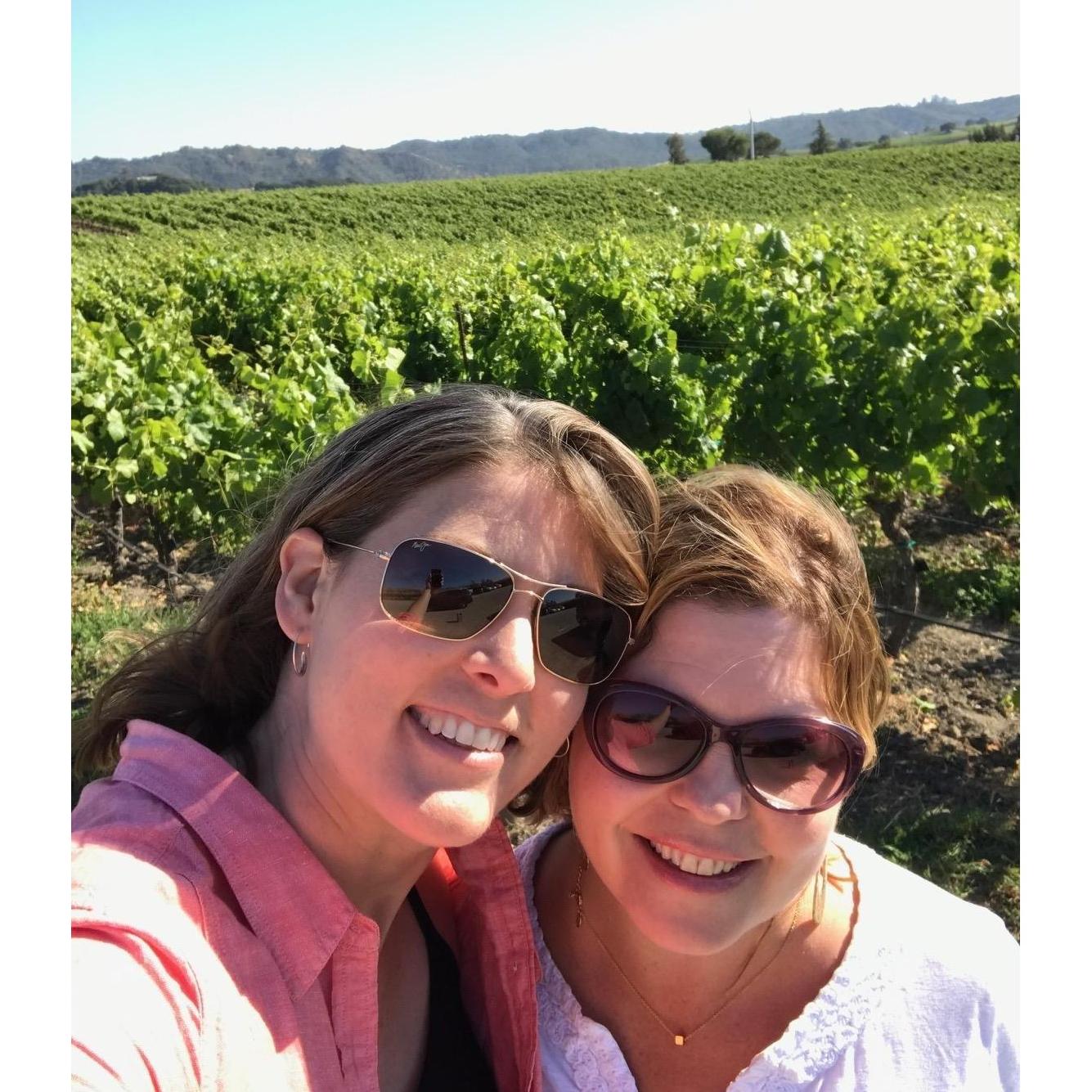 The beautiful Chamisal Vineyards