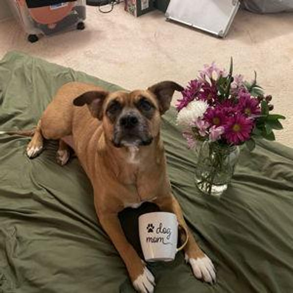 IVF/Adoption Fund