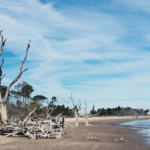 Little Talbot Island