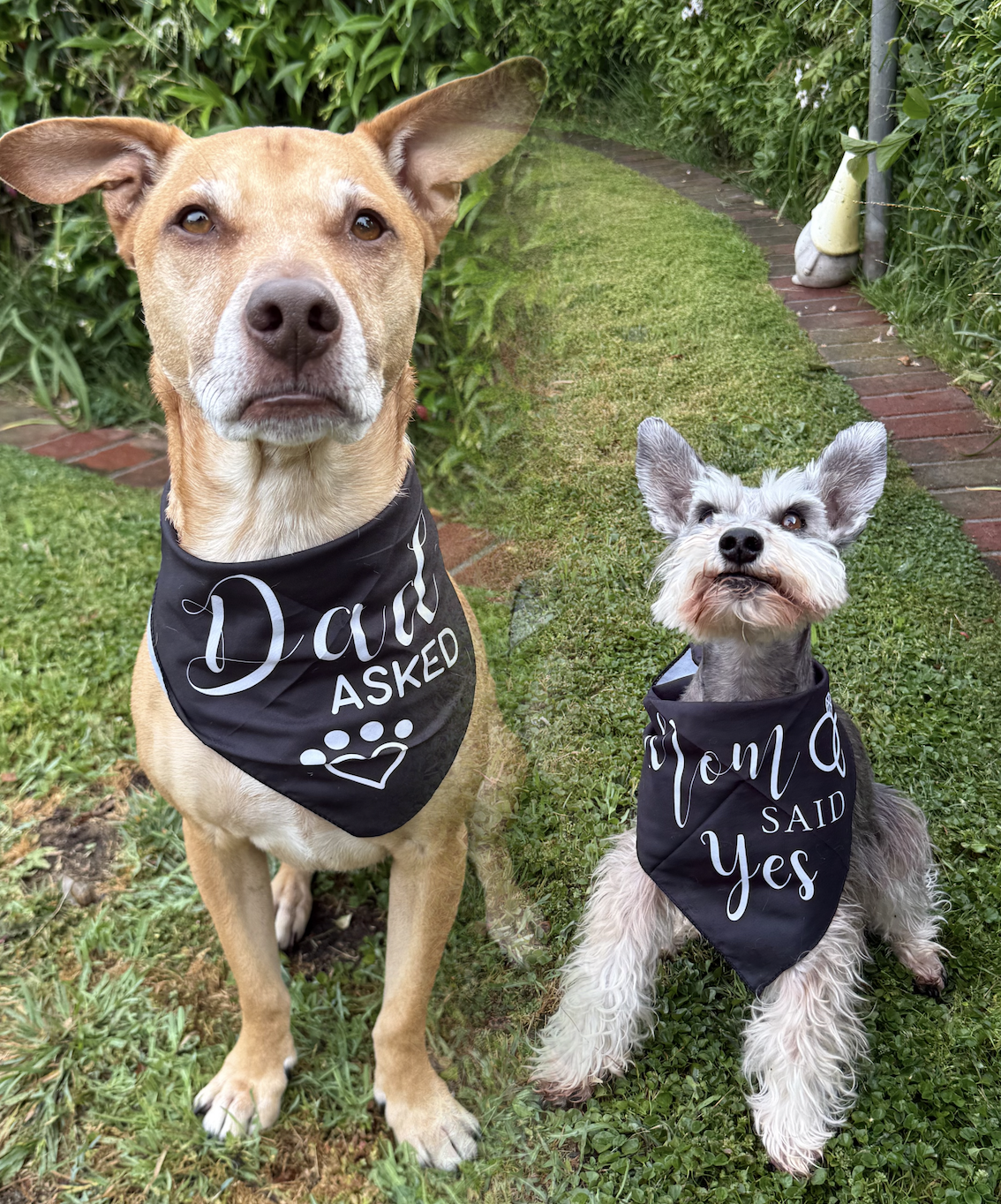 The Wedding Website of Julianna Flores and Miguel Ortega