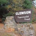 Clemson Experimental Forest