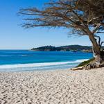 Carmel Beach