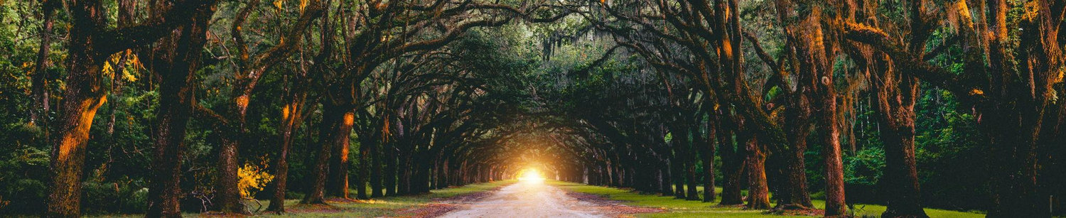 The Wedding Website of Hunter Williams and Victoria Meaux