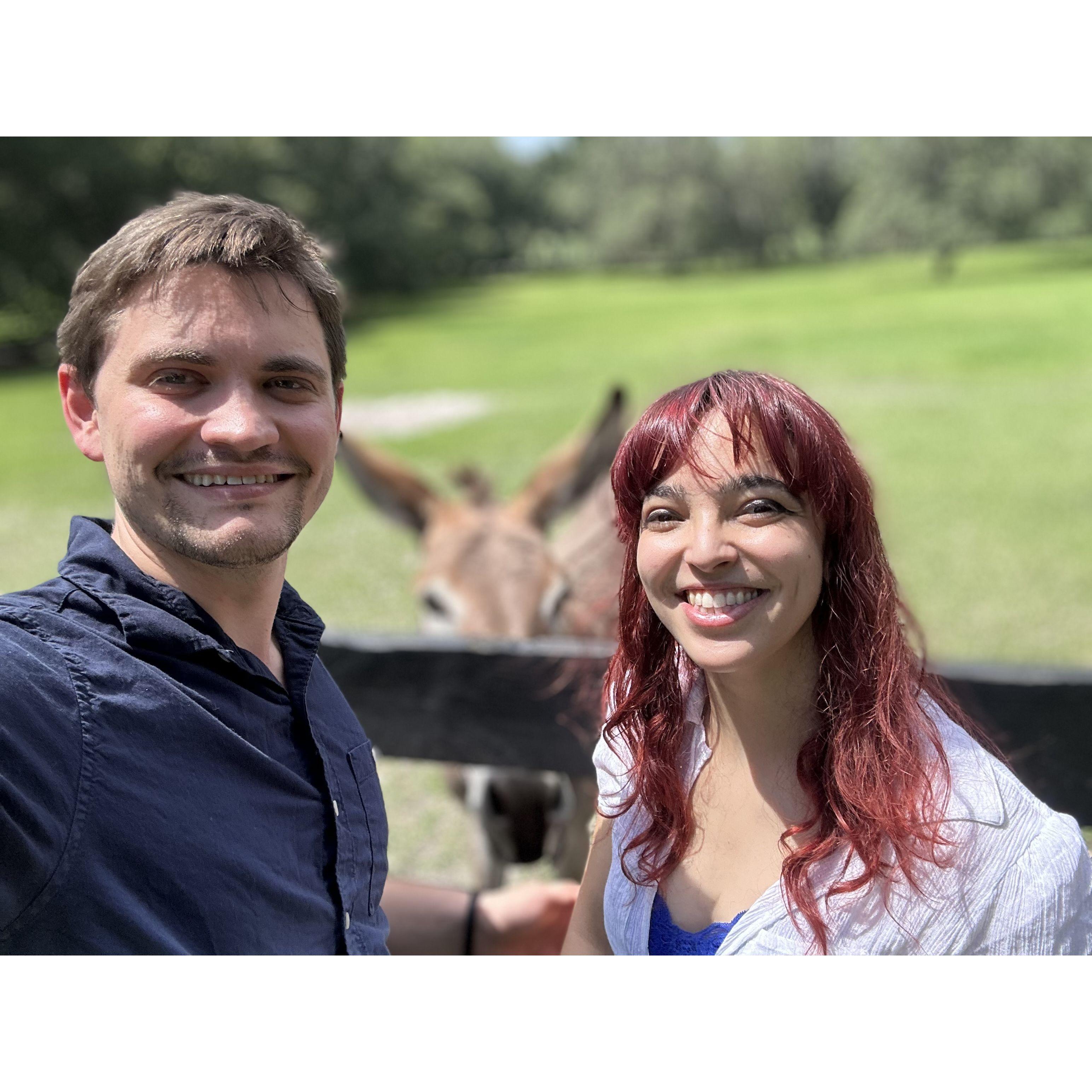 Me, an ass, and a donkey