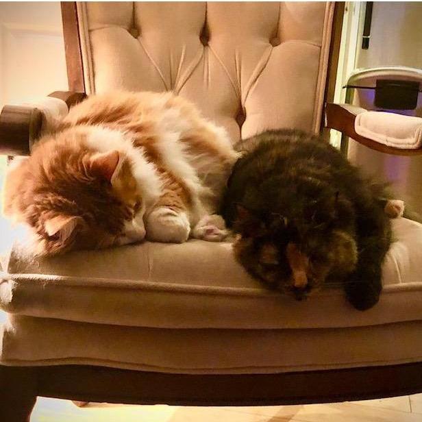 A rare moment