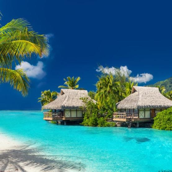 Honeymoon Fund
