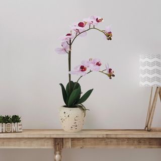 Artificial Orchid in Faux Aged Cement Pot