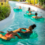 Adventure Island