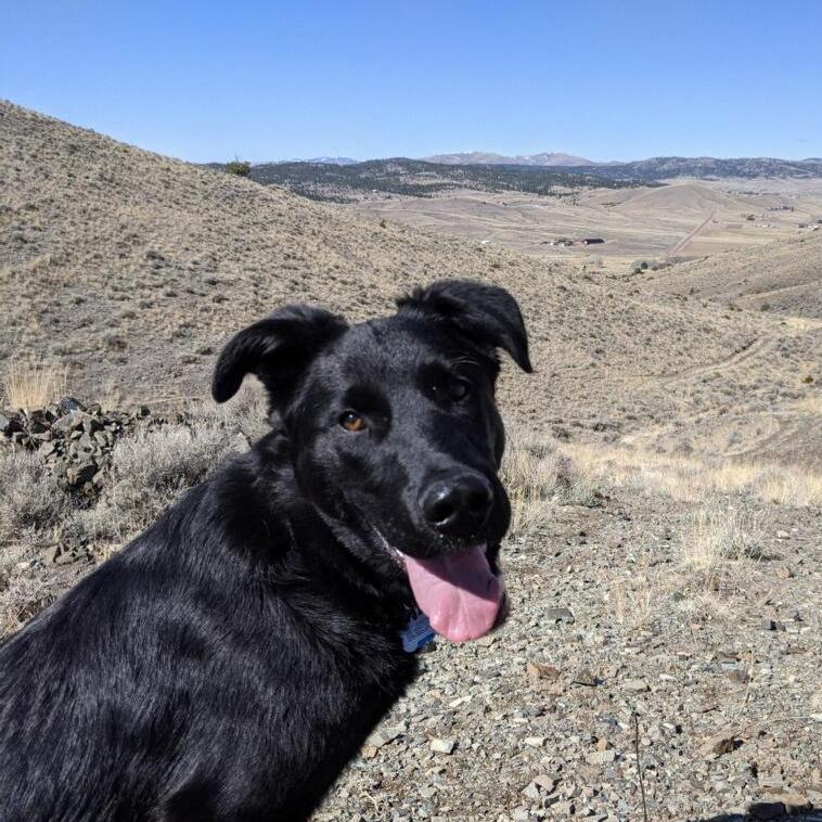 Theodore Roosevelt Legendre, enjoying a rest outside of Helena, MT