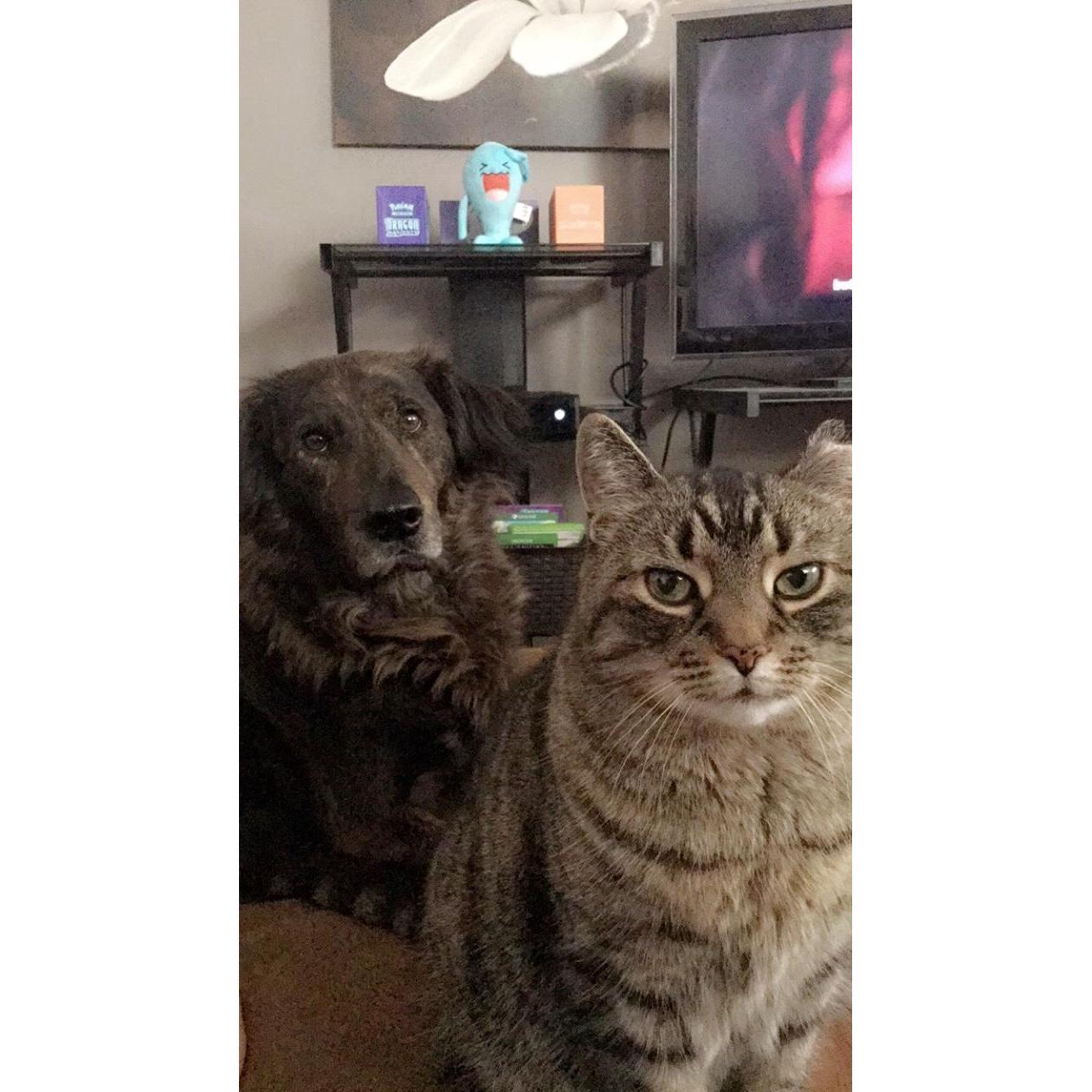 Mister Anderson & Caleb
