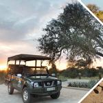 Game Drives