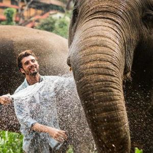 Walking with Giants-Thailand