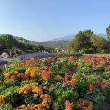 Royal Park Rajapruek