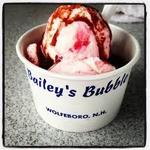 Bailey's Bubble
