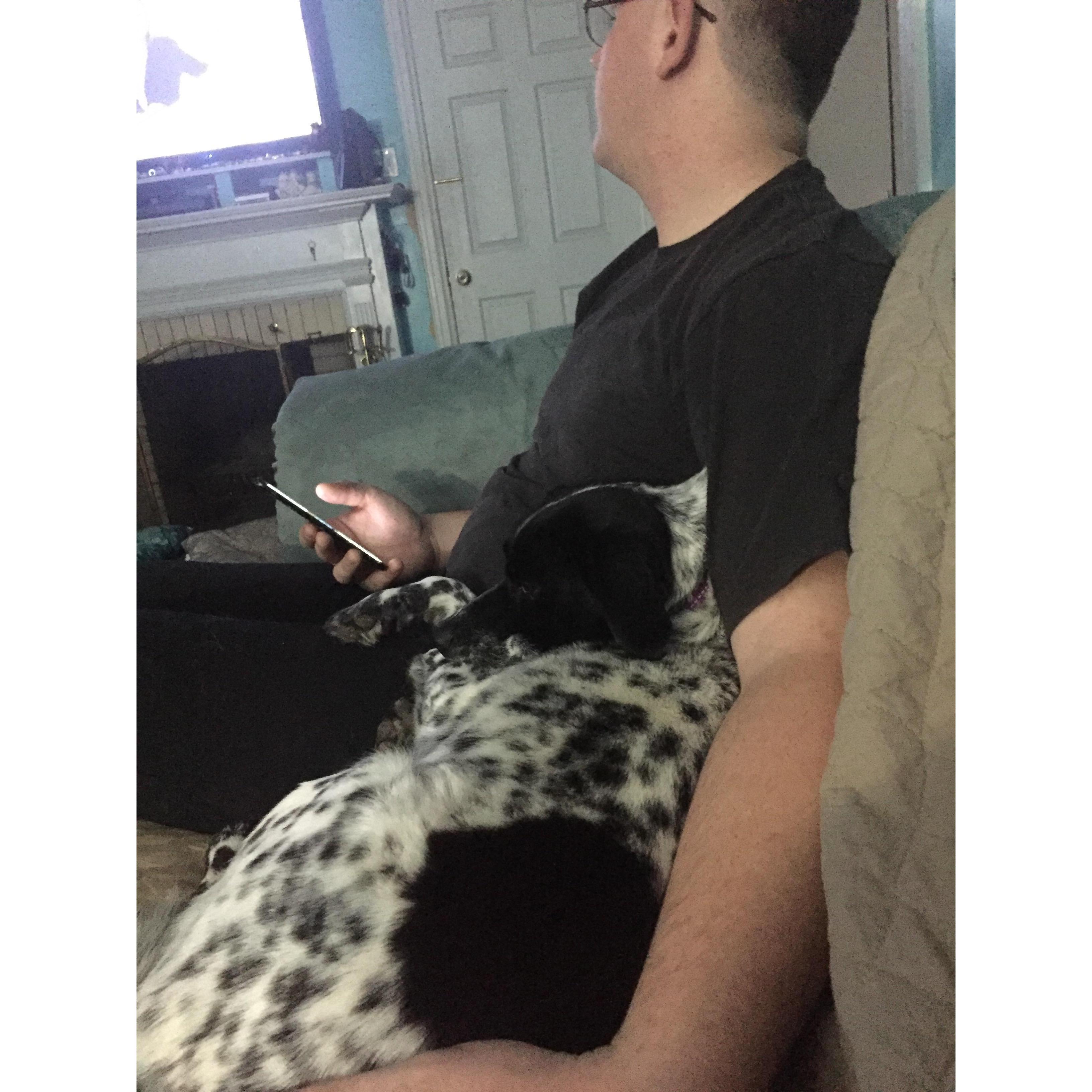 Katniss loves to cuddle with Lance as well, as it is known that he gives the superior belly rubs which is all she cares about