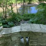 Petrifying Springs Park