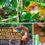 Tarsier Conservation Area