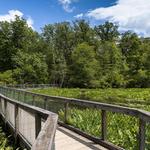 Mason Neck State Park