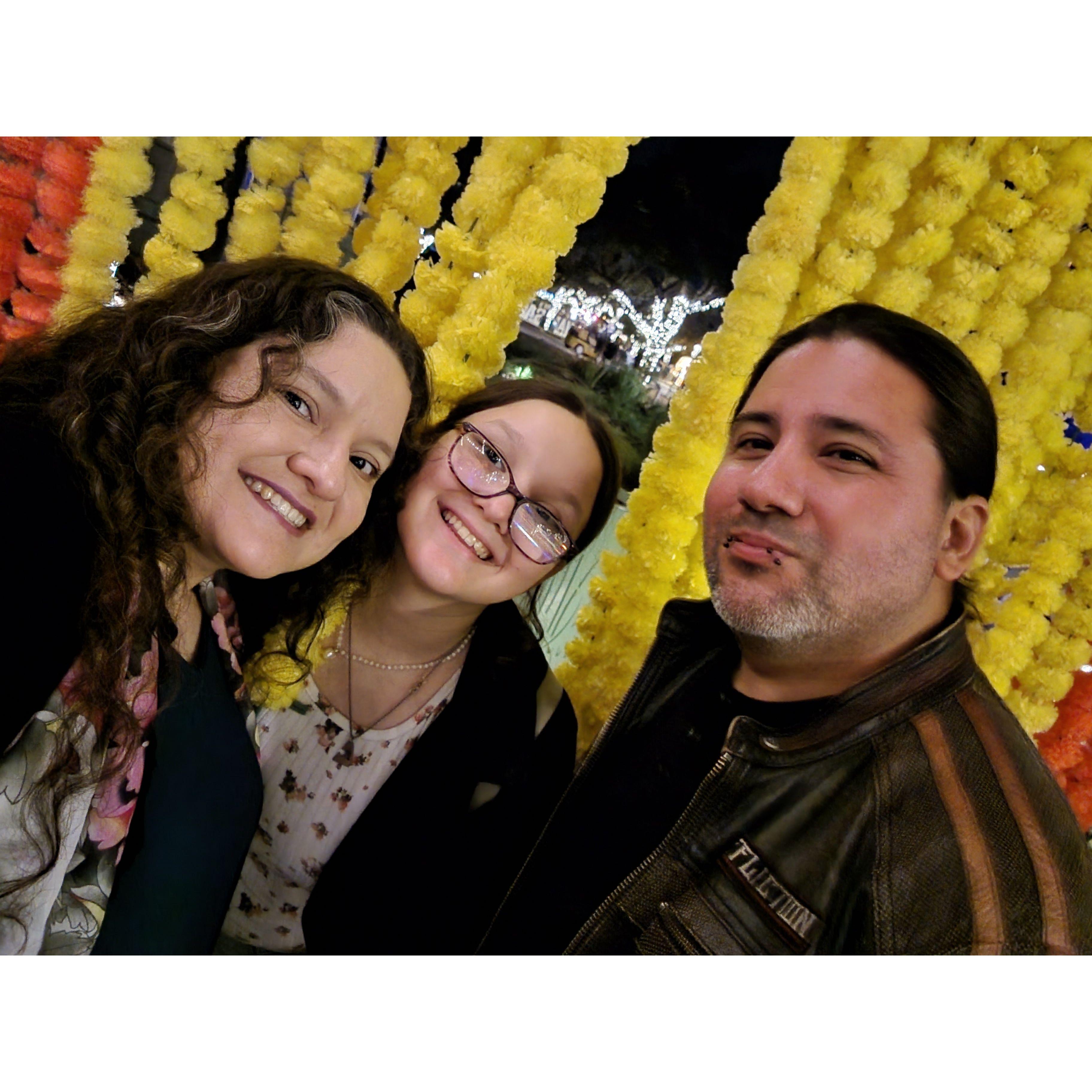 Dewali Festival (festival of lights) 2023