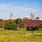 Dix Park