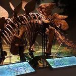 Anniston Museums and Gardens