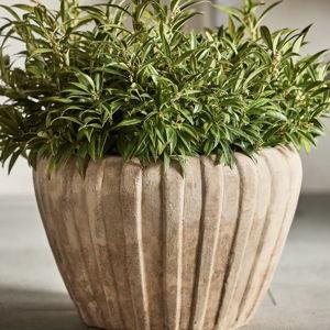 Ribbed Terracotta Low Taper Pot