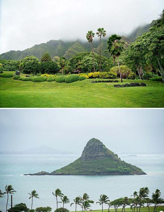 The Wedding Website of Sierra Kealoha Ching and Simon Masarie Leach