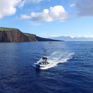 Half-Day Lanai Snorkel Tour and Dolphin Watch for 2 - Lahaina, HI