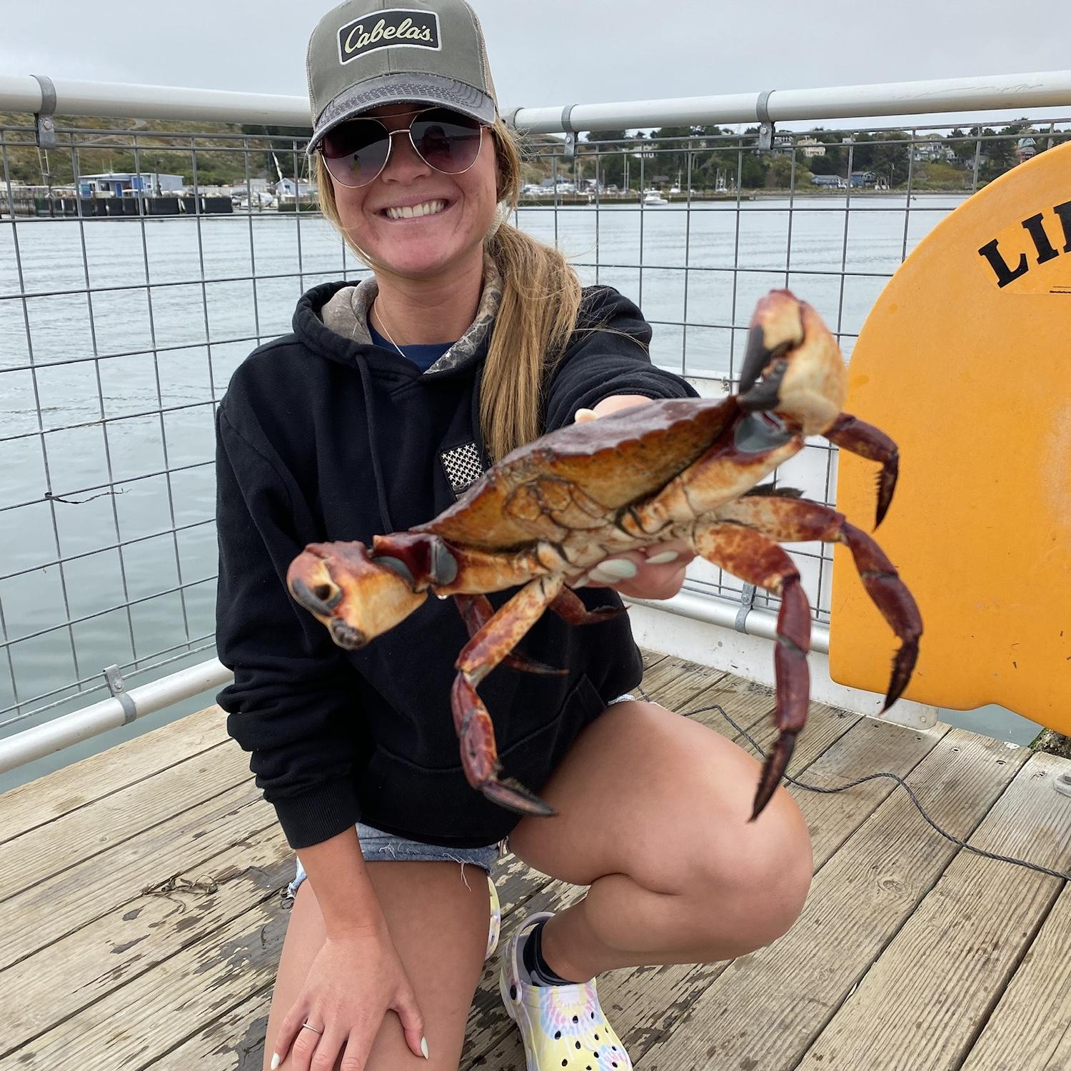 Day trip to Bodega for some crabbing! Bodega Harbor, July 2021