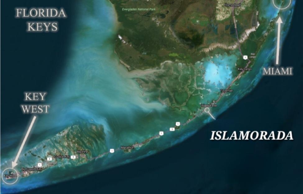 The Wedding Website of Diana Witmer and Larry Keaton