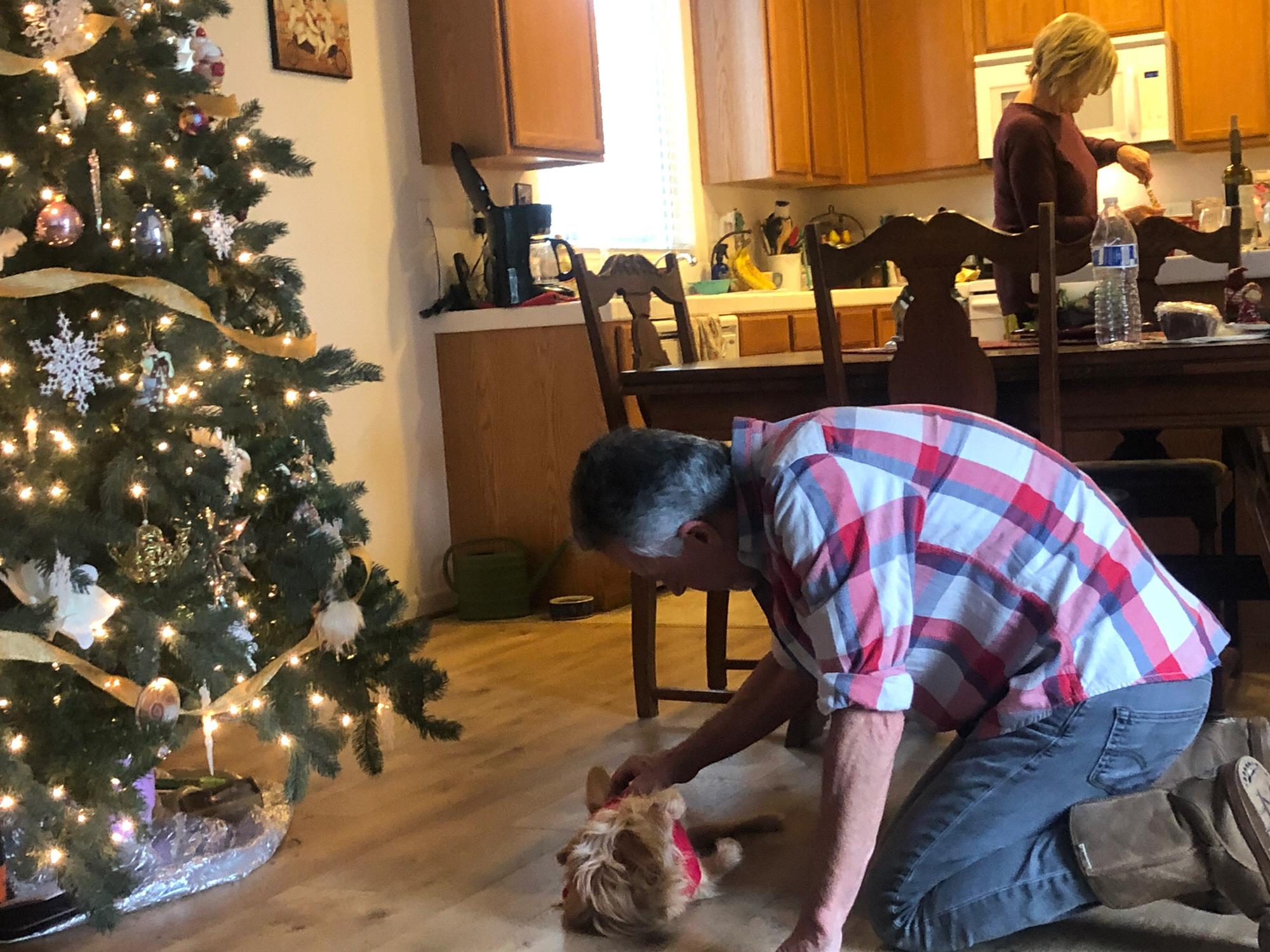 Christmas at Conner's parents. Steve is rubbing Charlie's belly in front of the tree