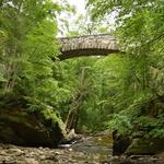 Wissahickon Valley Park