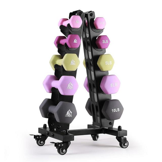 LIONSCOOL Set of 2 Neoprene Coated Dumbbell Hand Weights, Anti-Slip and Anti-Roll Hex Dumbbells in Pair for Strength Training, Resistance Training