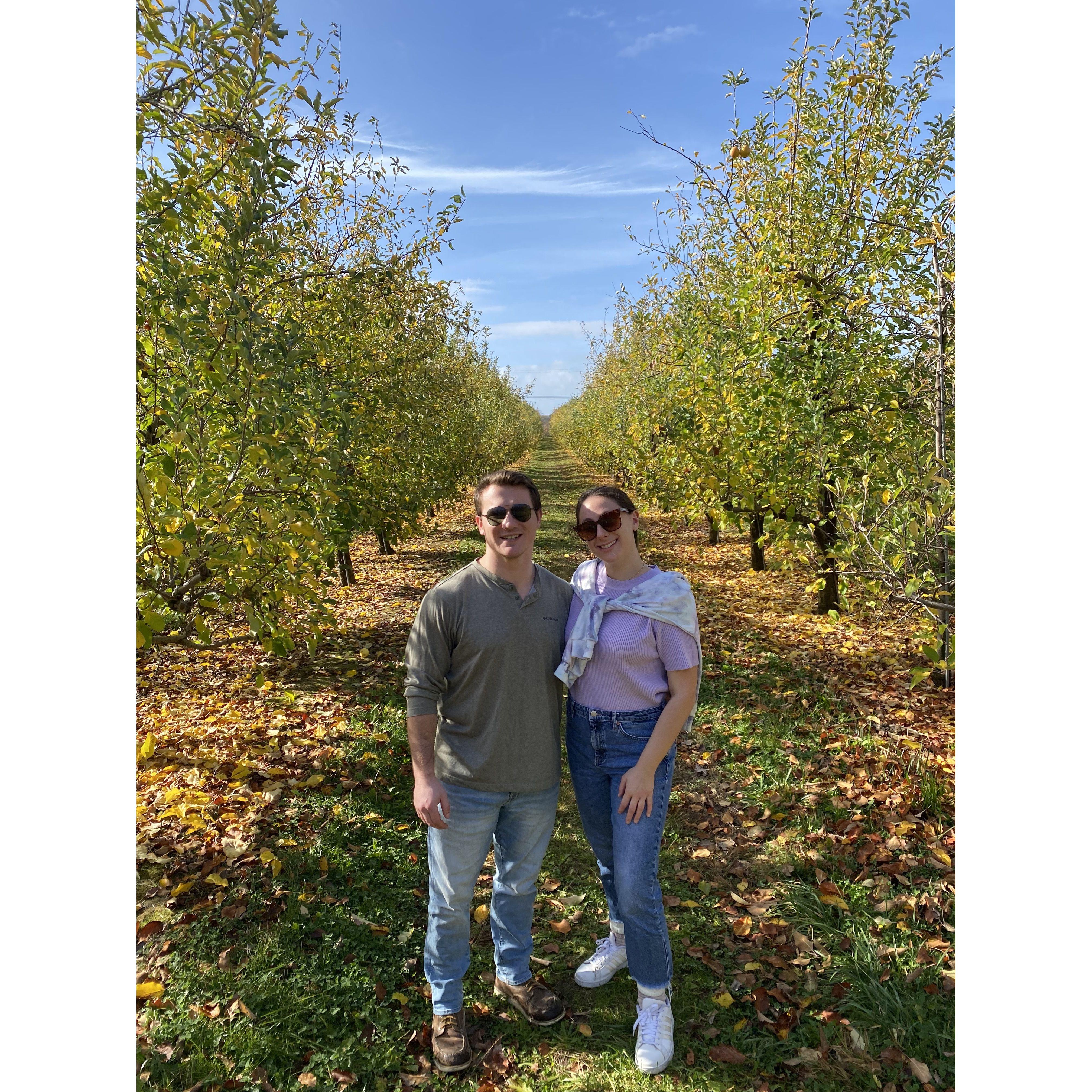Admiring the beauty at an orchard in Bucks County
